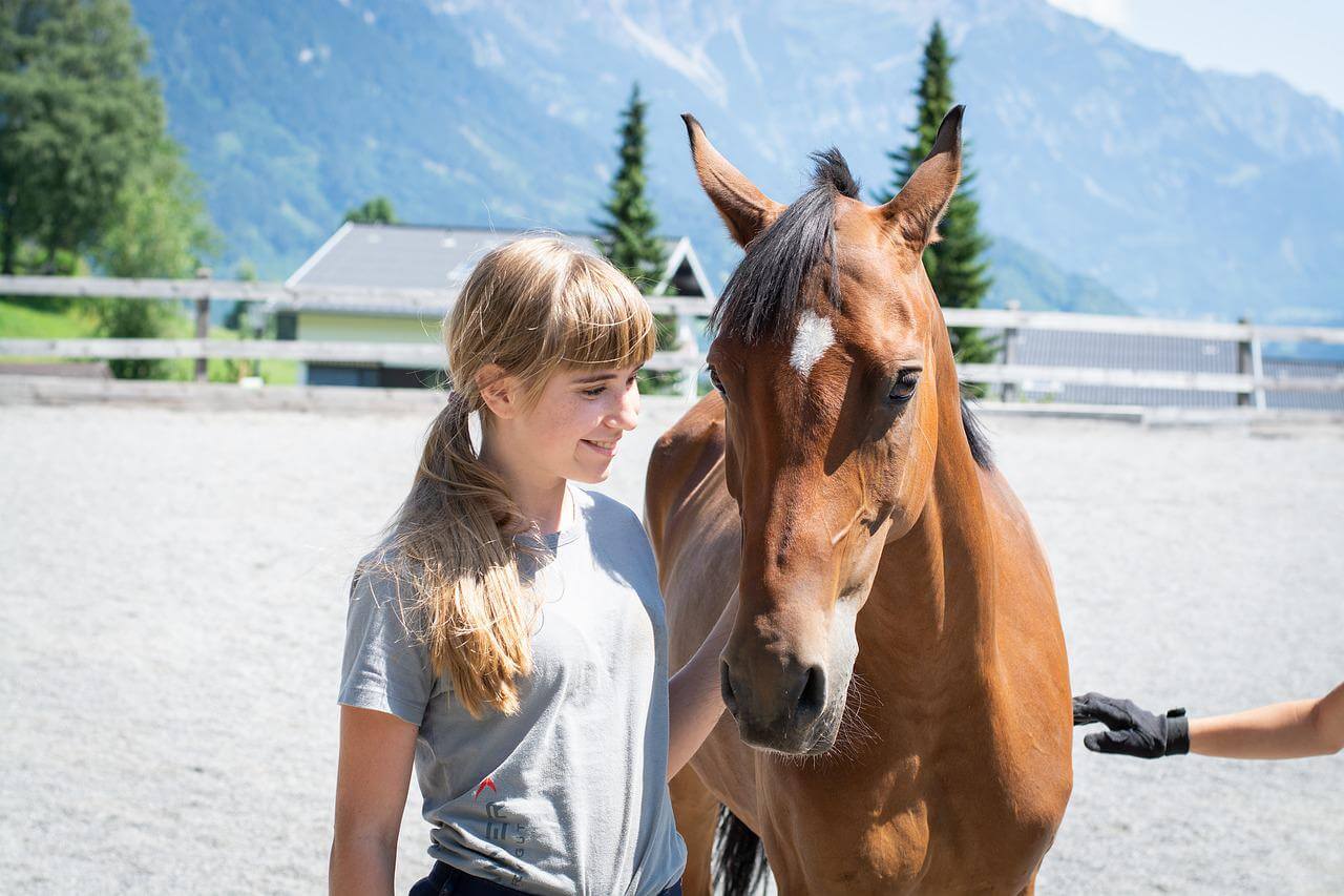 cheval et enfant-pixabay